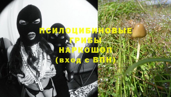 тгк Абдулино