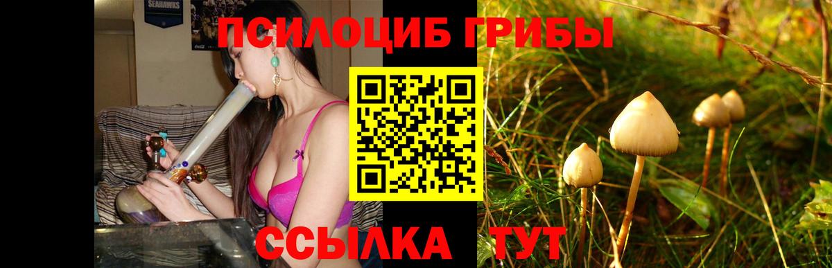 Ступино  Галлюциногенные грибы ЛСД  Вход с VPN 