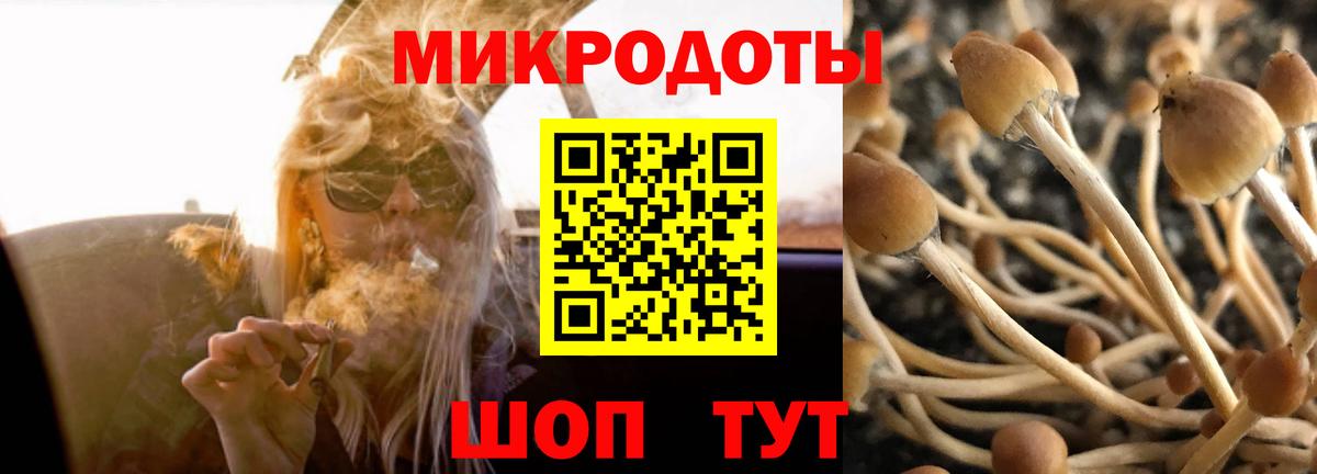 Псилоцибиновые грибы мухоморы Ступино